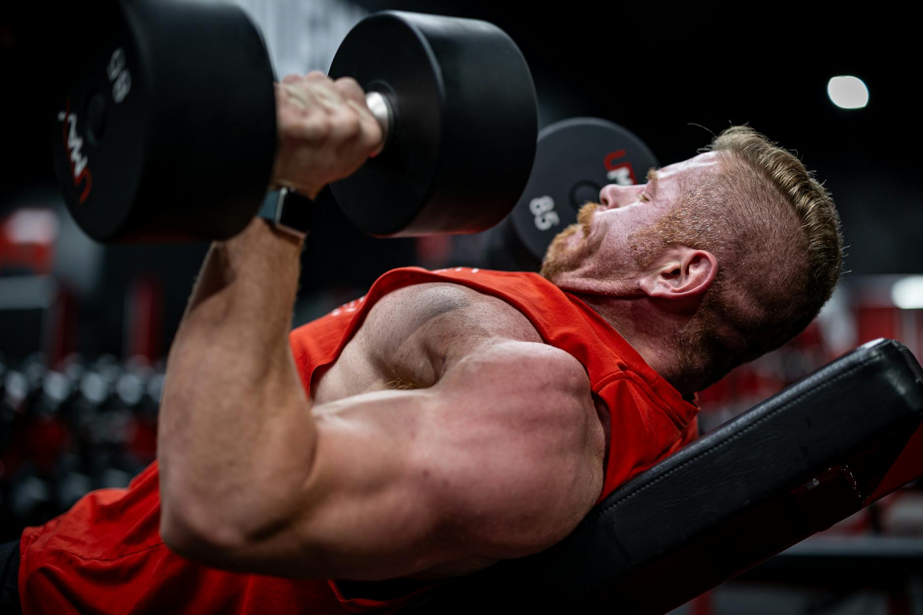 muscular man lifting dumbbells on a weight bench